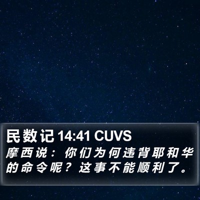民 数 记 14:41 CUVS Bible Verse Image