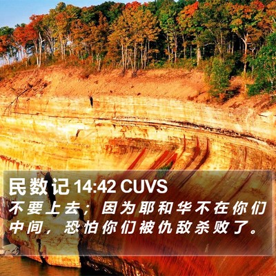 民 数 记 14:42 CUVS Bible Verse Image