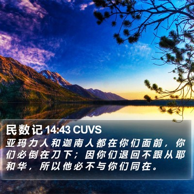 民 数 记 14:43 CUVS Bible Verse Image