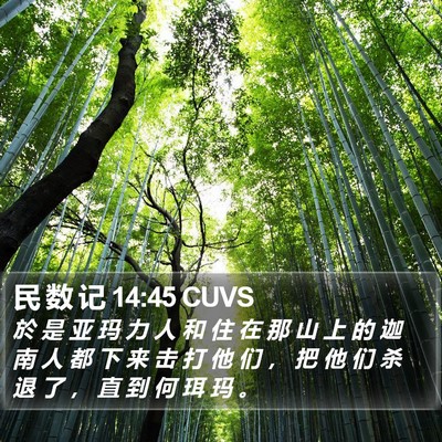民 数 记 14:45 CUVS Bible Verse Image