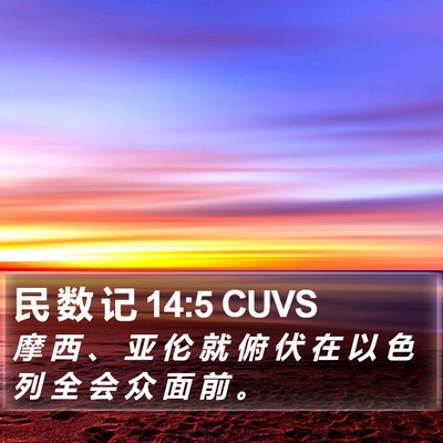 民 数 记 14:5 CUVS Bible Verse Image