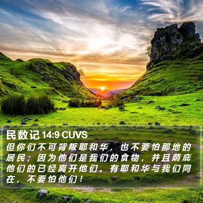 民 数 记 14:9 CUVS Bible Verse Image