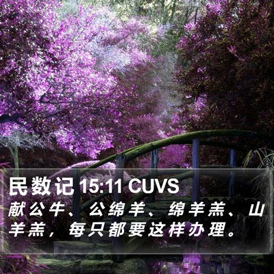 民 数 记 15:11 CUVS Bible Verse Image