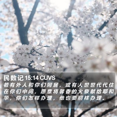民 数 记 15:14 CUVS Bible Verse Image