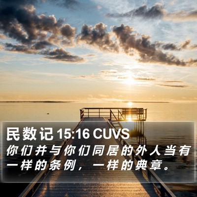 民 数 记 15:16 CUVS Bible Verse Image