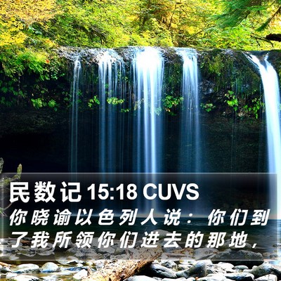 民 数 记 15:18 CUVS Bible Verse Image