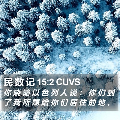 民 数 记 15:2 CUVS Bible Verse Image