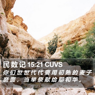 民 数 记 15:21 CUVS Bible Verse Image