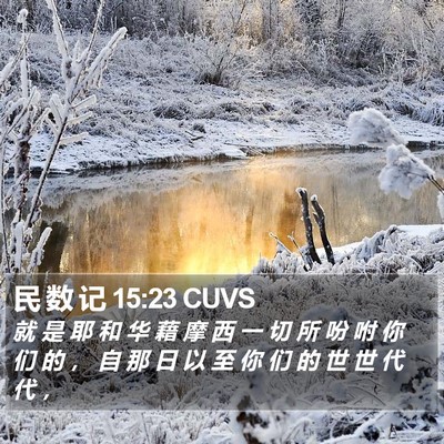 民 数 记 15:23 CUVS Bible Verse Image