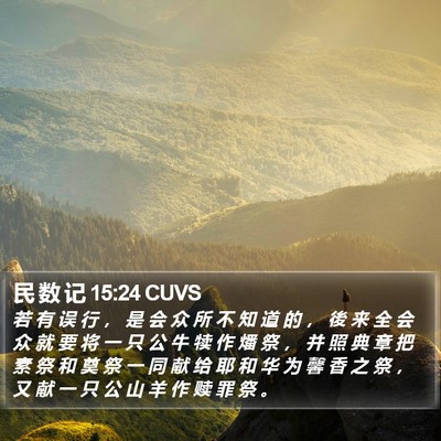 民 数 记 15:24 CUVS Bible Verse Image
