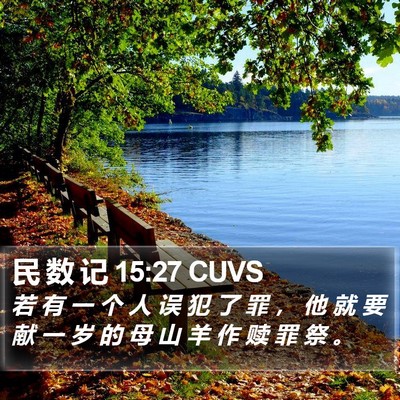 民 数 记 15:27 CUVS Bible Verse Image