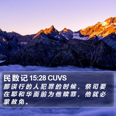 民 数 记 15:28 CUVS Bible Verse Image