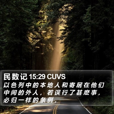 民 数 记 15:29 CUVS Bible Verse Image