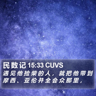 民 数 记 15:33 CUVS Bible Verse Image