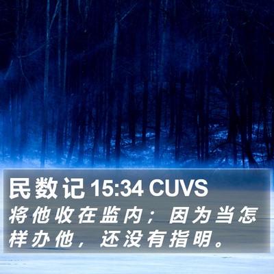 民 数 记 15:34 CUVS Bible Verse Image