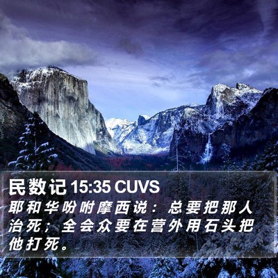 民 数 记 15:35 CUVS Bible Verse Image