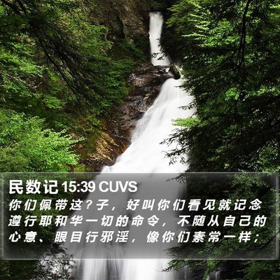 民 数 记 15:39 CUVS Bible Verse Image