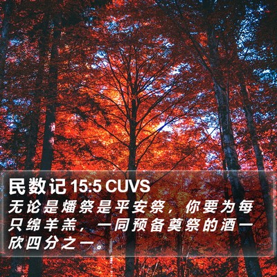 民 数 记 15:5 CUVS Bible Verse Image