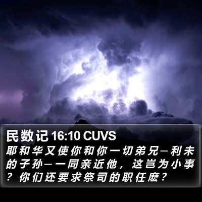 民 数 记 16:10 CUVS Bible Verse Image