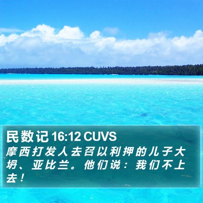 民 数 记 16:12 CUVS Bible Verse Image