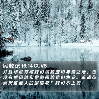 民 数 记 16:14 CUVS Bible Verse Image