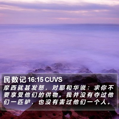 民 数 记 16:15 CUVS Bible Verse Image