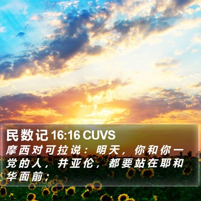 民 数 记 16:16 CUVS Bible Verse Image