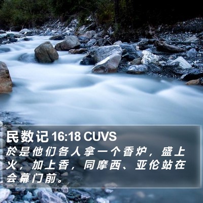 民 数 记 16:18 CUVS Bible Verse Image