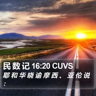 民 数 记 16:20 CUVS Bible Verse Image