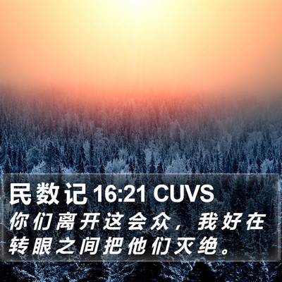 民 数 记 16:21 CUVS Bible Verse Image