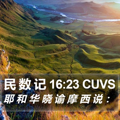 民 数 记 16:23 CUVS Bible Verse Image