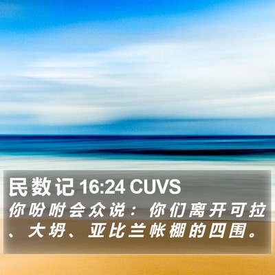 民 数 记 16:24 CUVS Bible Verse Image