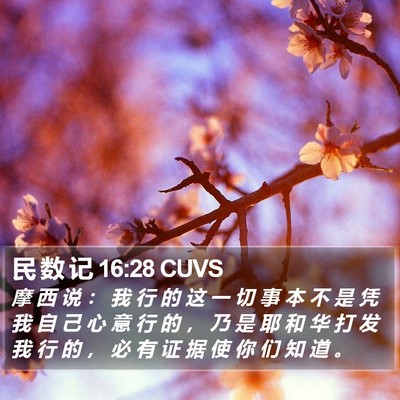 民 数 记 16:28 CUVS Bible Verse Image