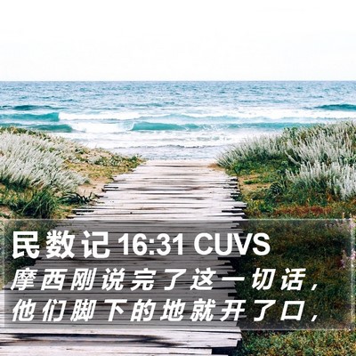 民 数 记 16:31 CUVS Bible Verse Image