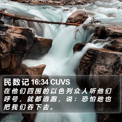 民 数 记 16:34 CUVS Bible Verse Image