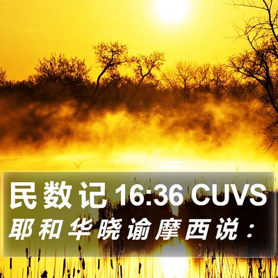 民 数 记 16:36 CUVS Bible Verse Image