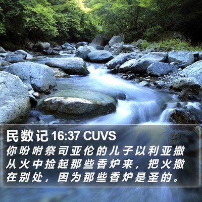 民 数 记 16:37 CUVS Bible Verse Image