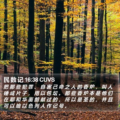 民 数 记 16:38 CUVS Bible Verse Image