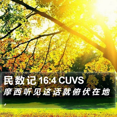民 数 记 16:4 CUVS Bible Verse Image