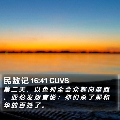 民 数 记 16:41 CUVS Bible Verse Image