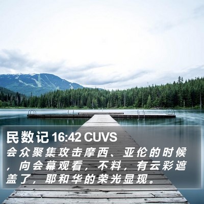 民 数 记 16:42 CUVS Bible Verse Image
