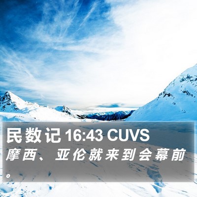 民 数 记 16:43 CUVS Bible Verse Image