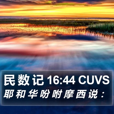 民 数 记 16:44 CUVS Bible Verse Image