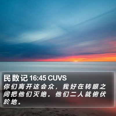 民 数 记 16:45 CUVS Bible Verse Image