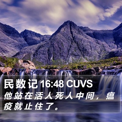 民 数 记 16:48 CUVS Bible Verse Image