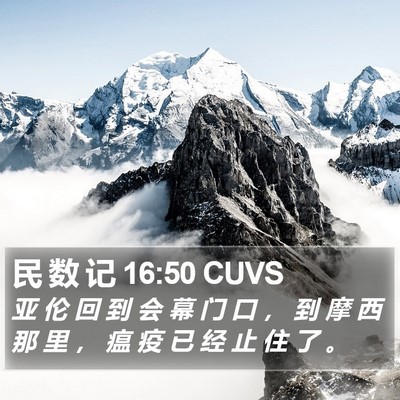 民 数 记 16:50 CUVS Bible Verse Image