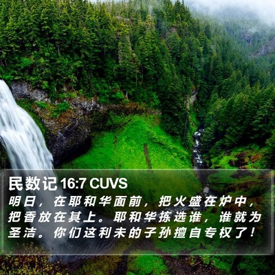 民 数 记 16:7 CUVS Bible Verse Image