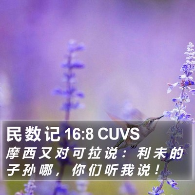 民 数 记 16:8 CUVS Bible Verse Image