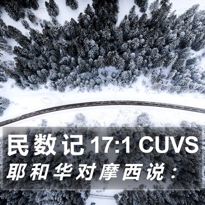 民 数 记 17:1 CUVS Bible Verse Image