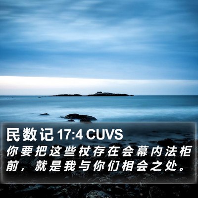 民 数 记 17:4 CUVS Bible Verse Image